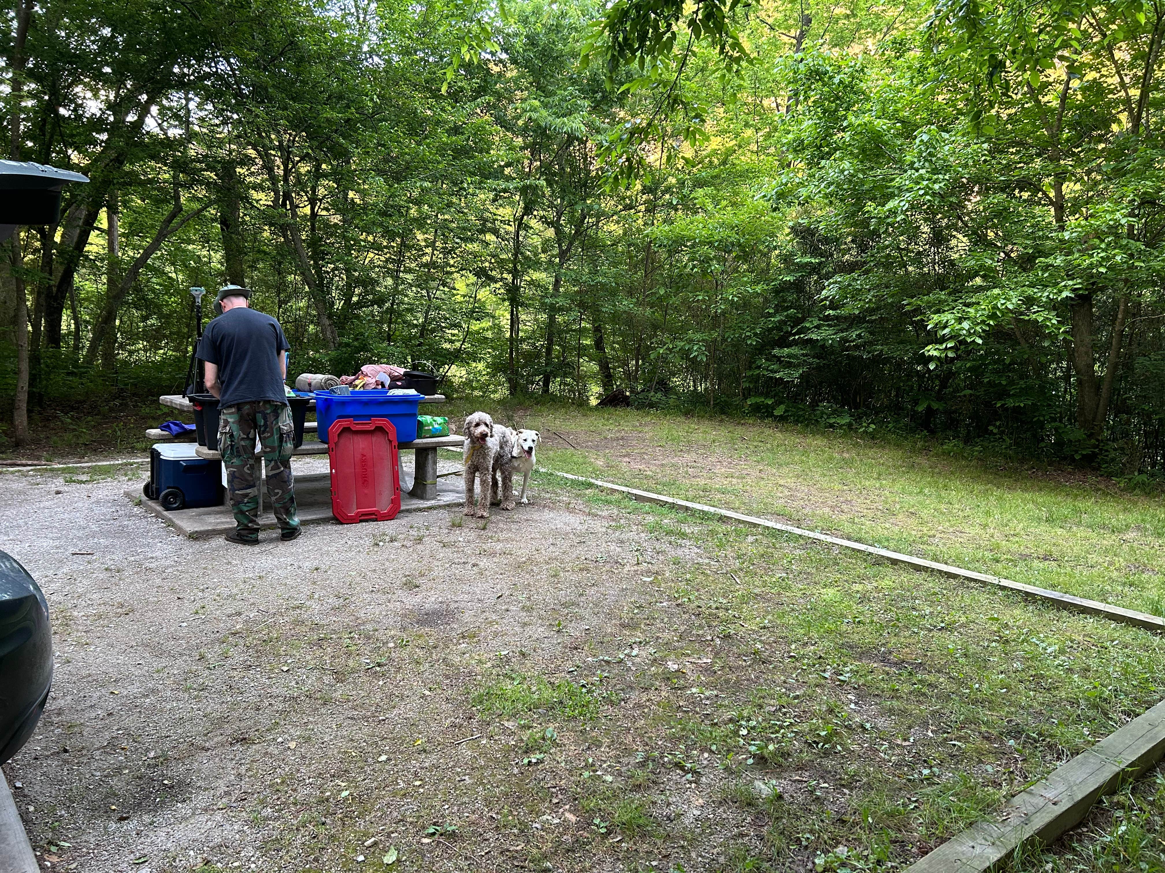 Kat M.'s photo of camping with pets at Dam Site River - Beaver Lake near Eureka Springs, AR