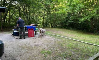 Kat M.'s photo of camping with pets at Dam Site River - Beaver Lake near Eureka Springs, AR
