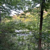 Review photo of Dam Site River - Beaver Lake by Kat M., May 28, 2024