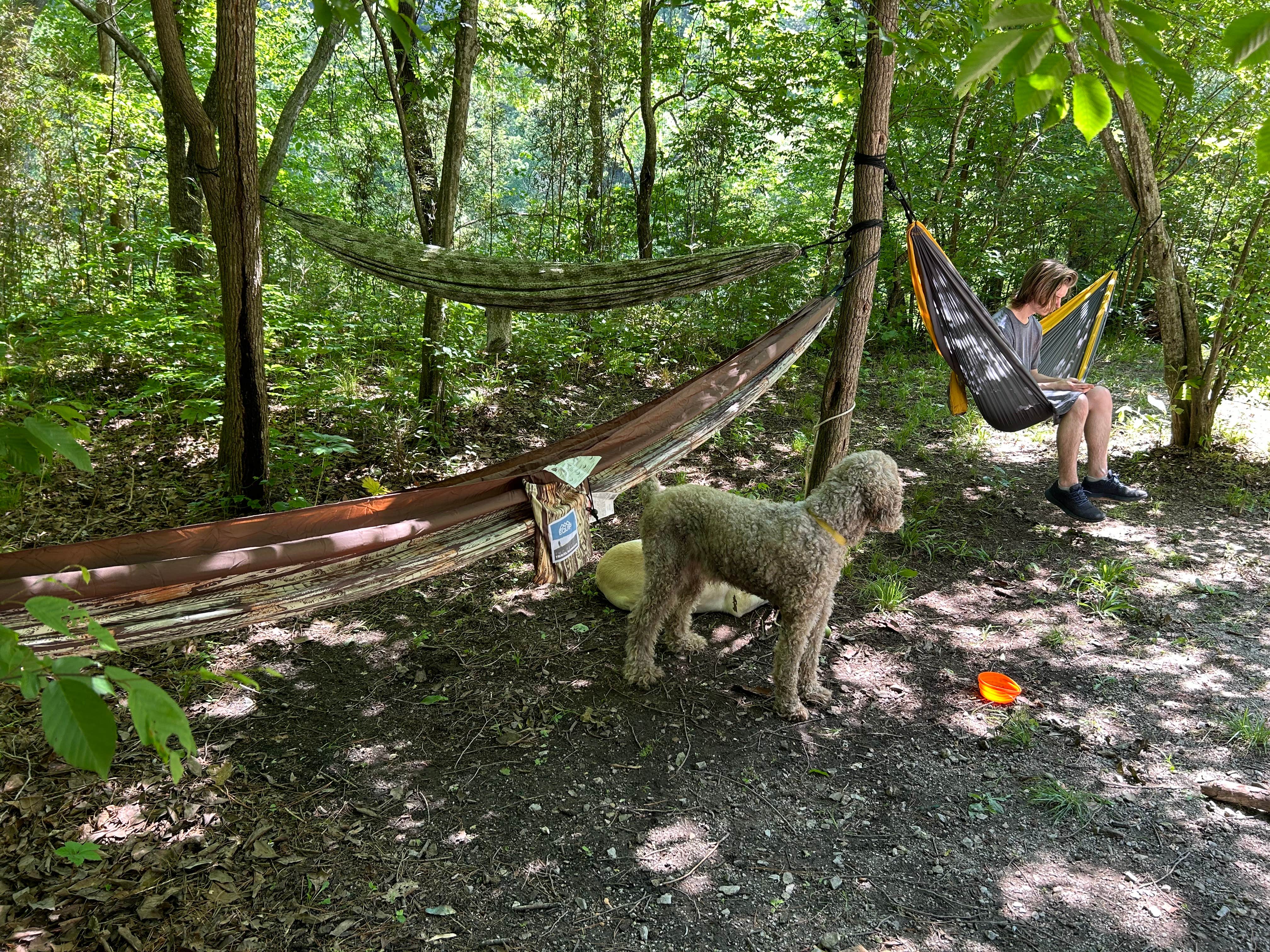 Kat M.'s photo of camping with pets at Dam Site River - Beaver Lake near Rogers, AR