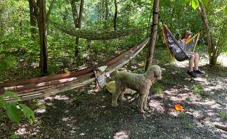 Kat M.'s photo of camping with pets at Dam Site River - Beaver Lake near Eureka Springs, AR
