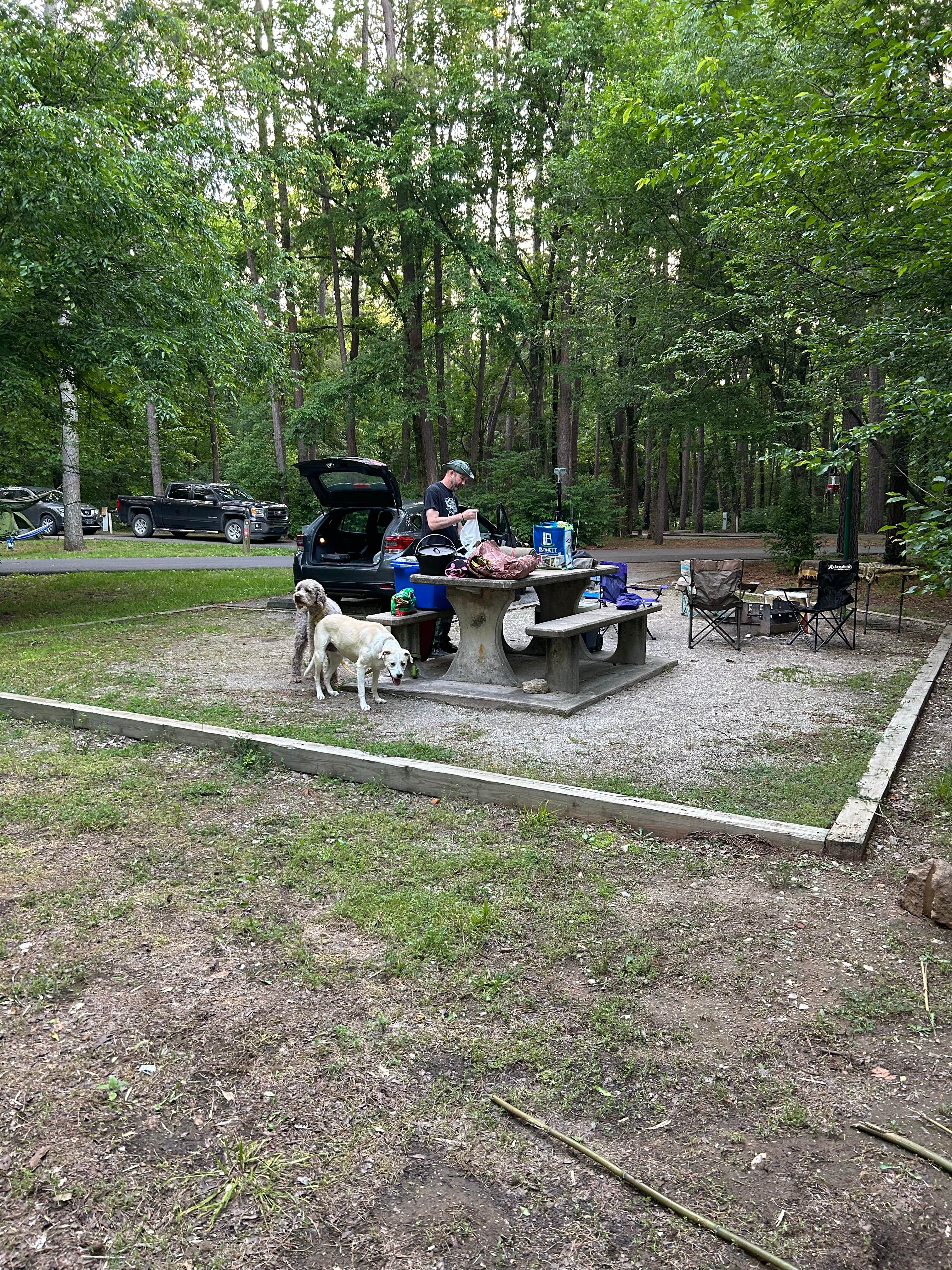 Kat M.'s photo at Dam Site River - Beaver Lake near Gateway, AR