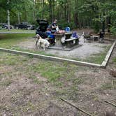 Review photo of Dam Site River - Beaver Lake by Kat M., May 28, 2024