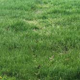 Review photo of COE Beaver Lake Prairie Creek Campground by PIXIE B., April 12, 2026