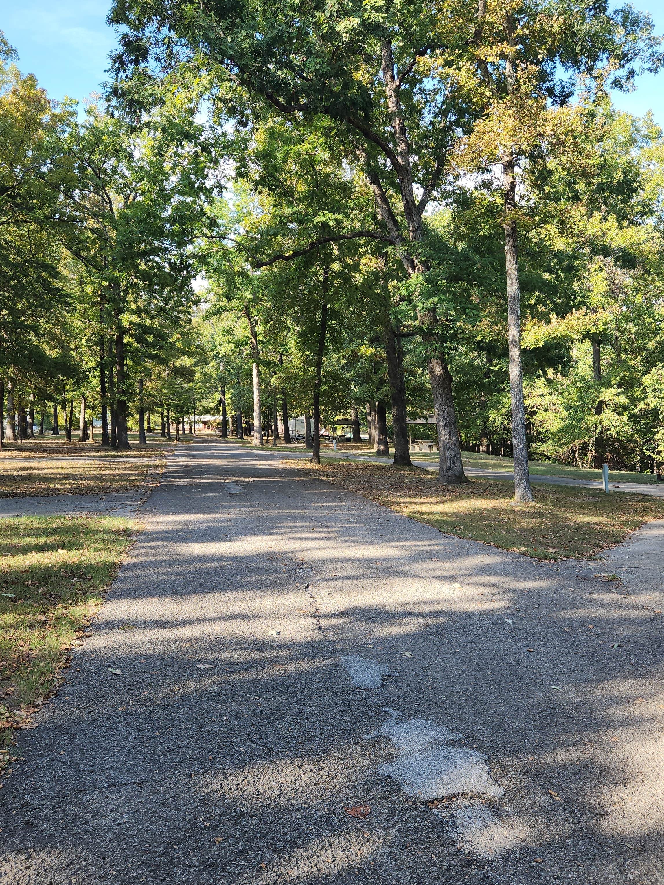 COE Bull Shoals Lake Dam Site Park