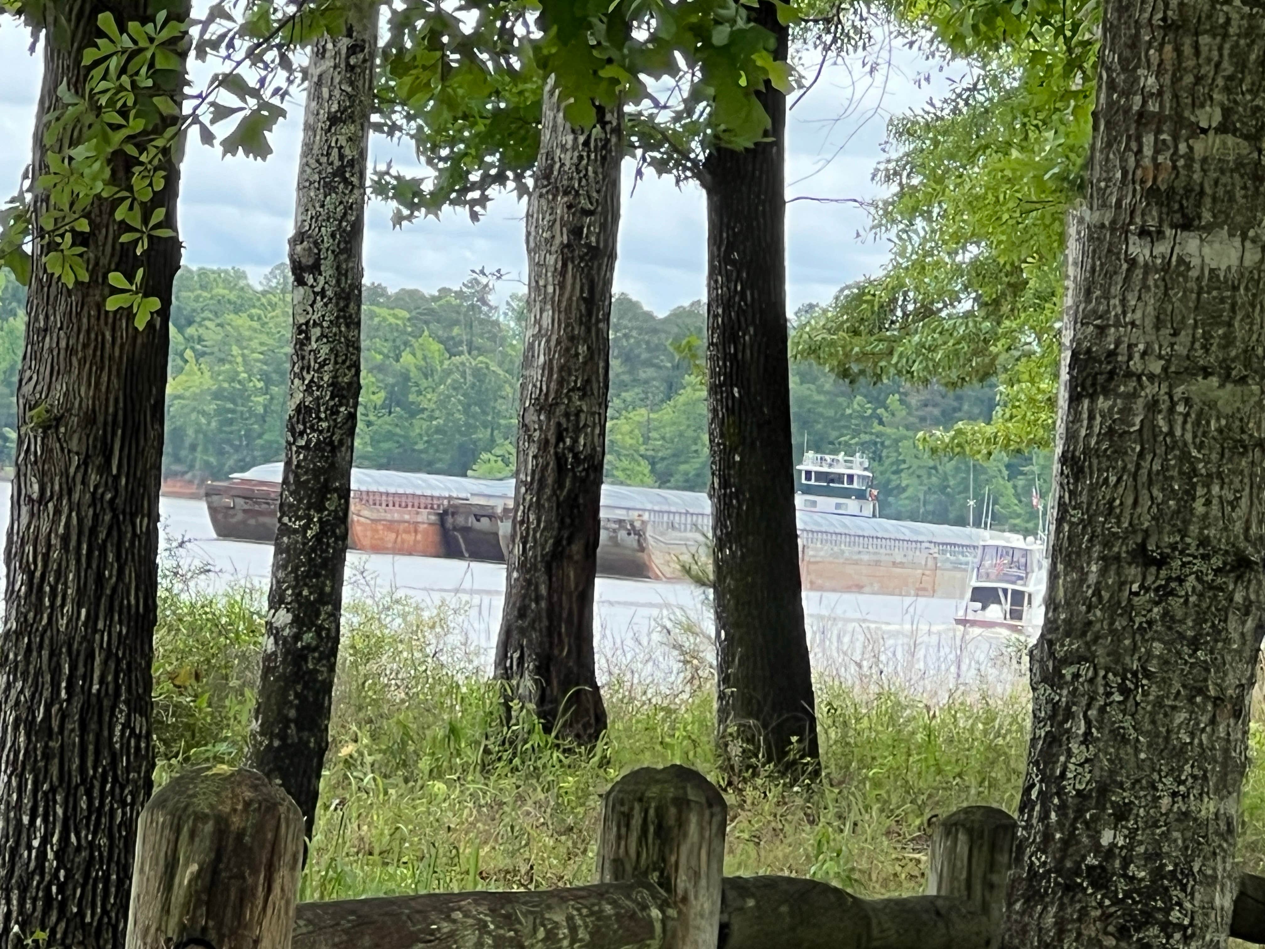 Camper-submitted photo at COE Coffeeville Lake Service Campground near Silas, AL
