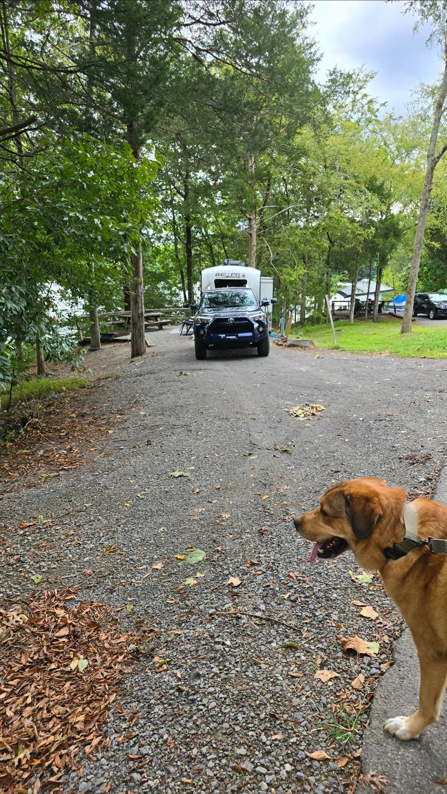 Alisha L.'s photo of camping with pets at COE Cordell Hull Lake Salt Lick Creek Campground near Gainesboro, TN