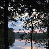 Review photo of COE Cordell Hull Lake Salt Lick Creek Campground by Alisha L., August 4, 2025