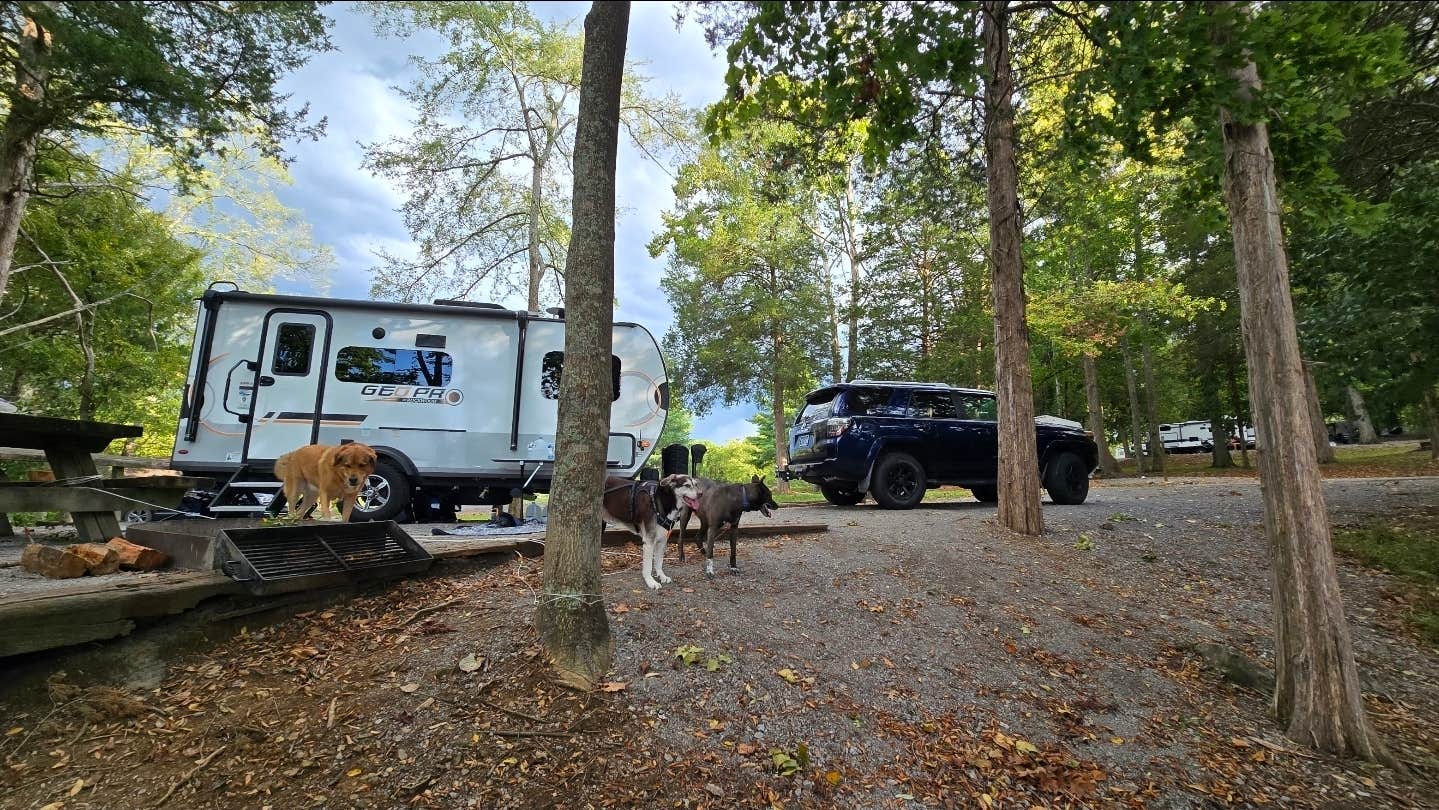 Alisha L.'s photo of camping with pets at COE Cordell Hull Lake Salt Lick Creek Campground near Baxter, TN