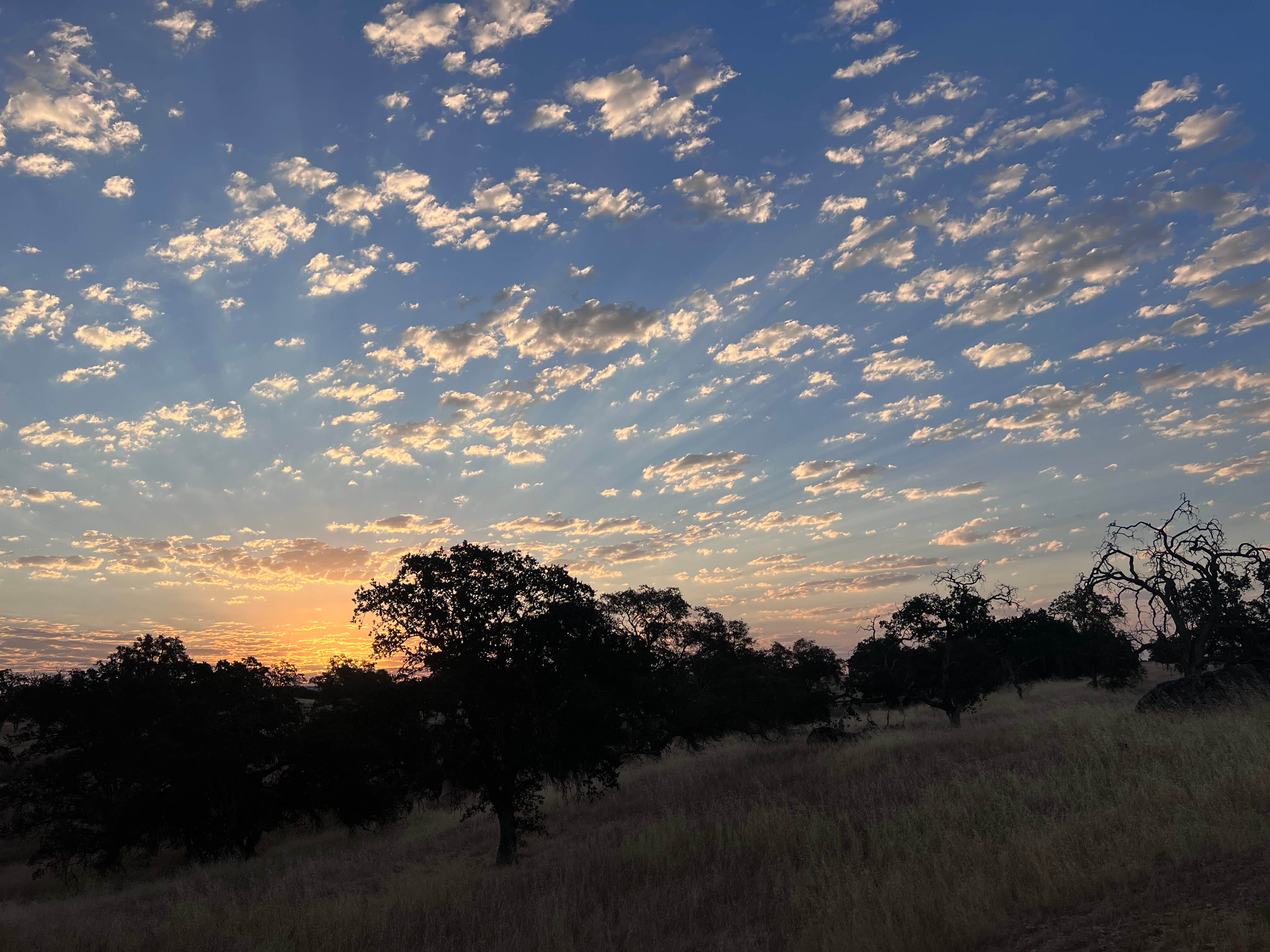 Camper-submitted photo at COE Eastman Lake Codorniz Campground near Biola, CA