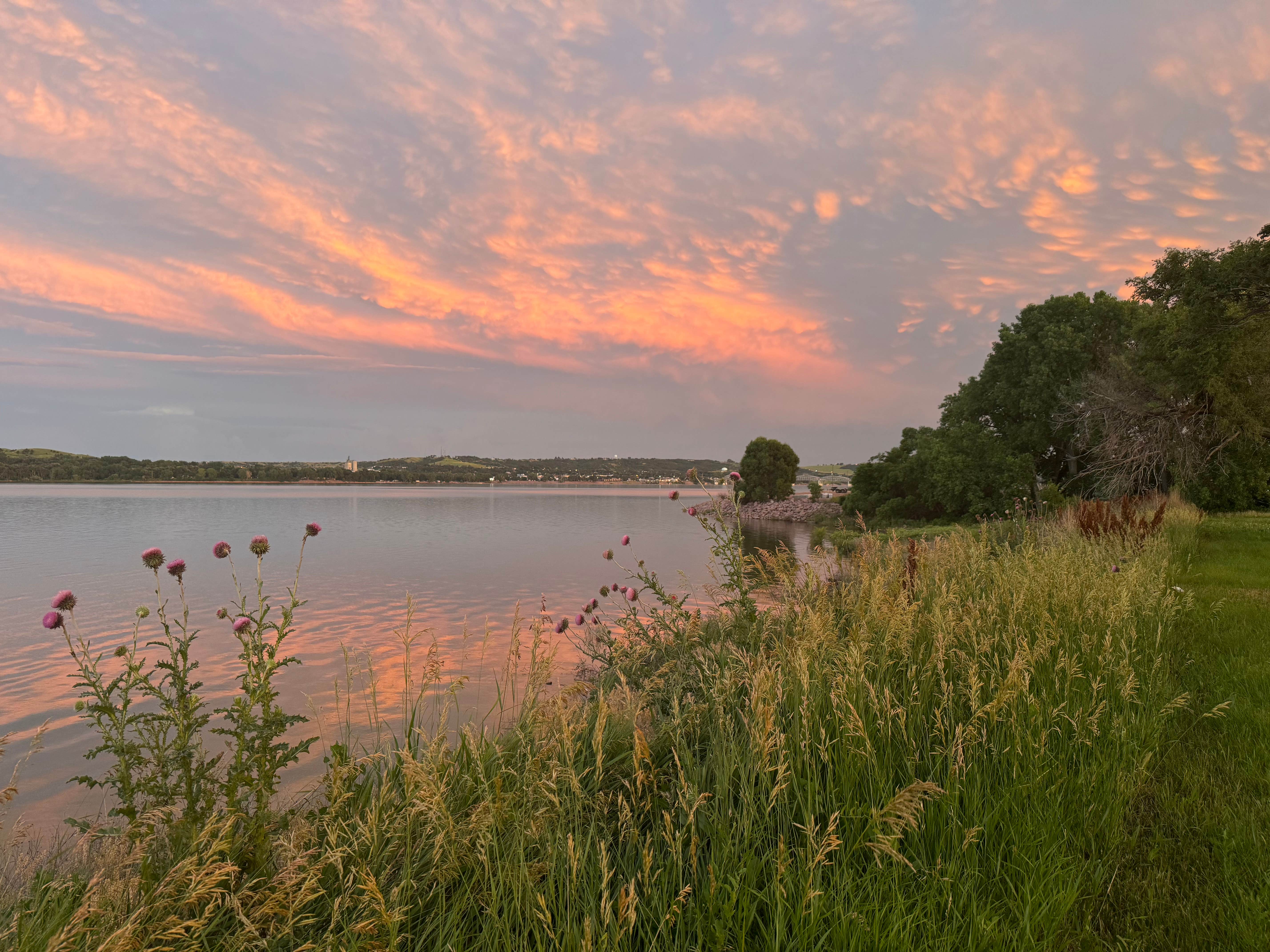 Camper submitted image from COE Lake Francis Case West Chamberlain Recreation Area - 2