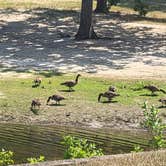 Review photo of COE Lake Ouachita Crystal Springs Campground by Travis A., August 18, 2025