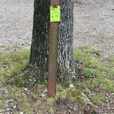 Review photo of COE Lake Ouachita Crystal Springs Campground by Kerri C., June 10, 2026