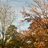 Review photo of COE Lake Ouachita Crystal Springs Campground by Adam B., November 16, 2025