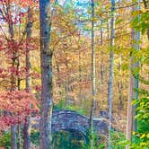 Review photo of COE Lake Ouachita Crystal Springs Campground by Adam B., November 16, 2025