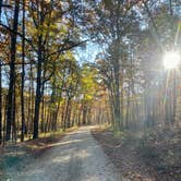Review photo of COE Lake Ouachita Crystal Springs Campground by Adam B., November 16, 2025
