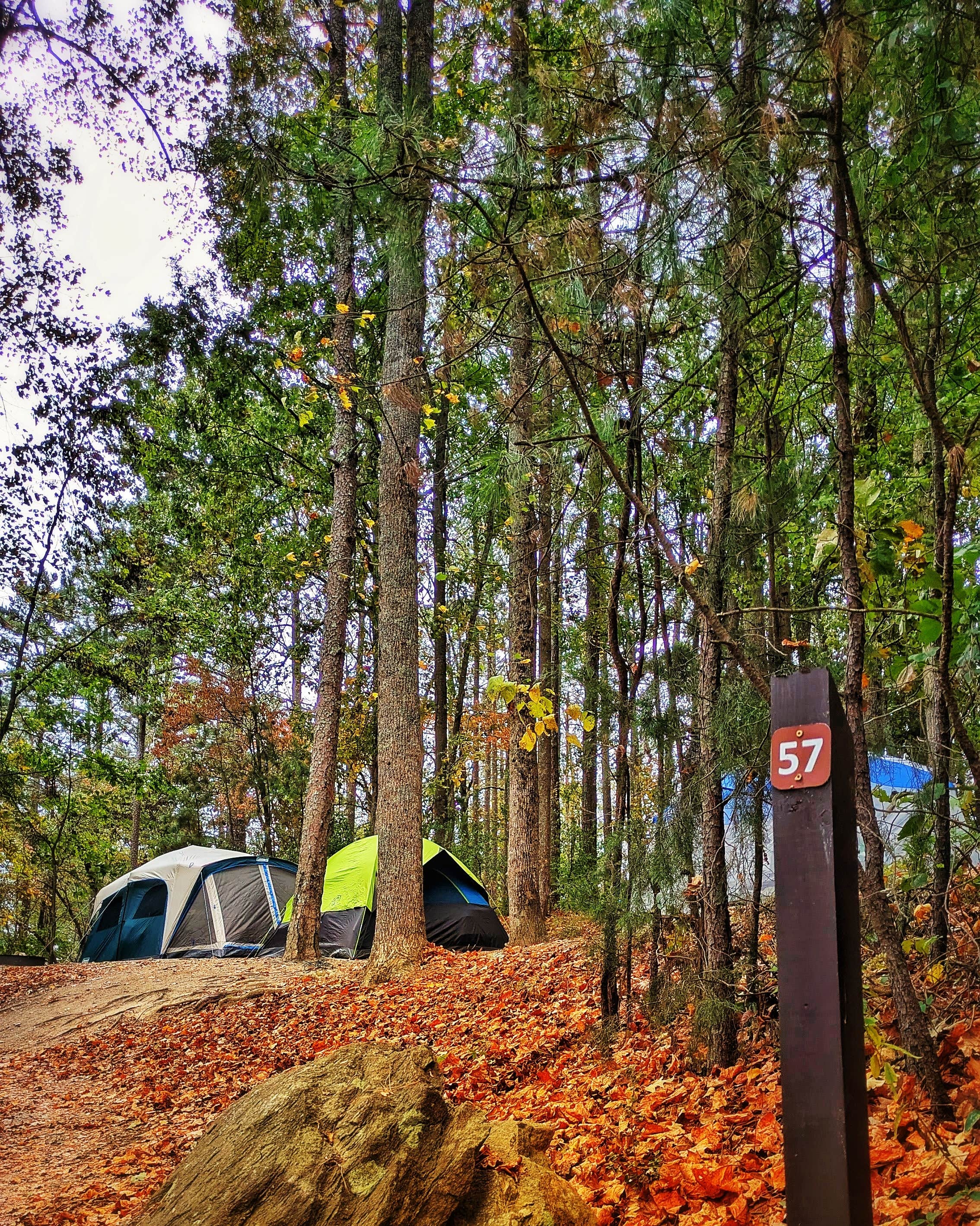 Camper-submitted photo at COE Lake Sidney Lanier Sawnee Campground near Flowery Branch, GA