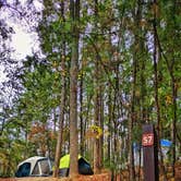 Review photo of COE Lake Sidney Lanier Sawnee Campground by Shea D., November 14, 2025
