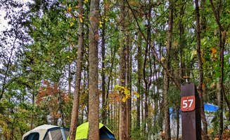 Shea D.'s photo at COE Lake Sidney Lanier Sawnee Campground near Lawrenceville, GA