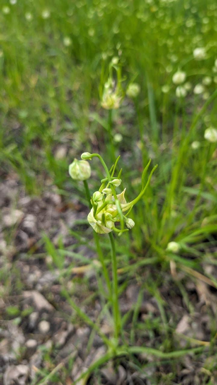 Camper-submitted photo at East Fork Park Campground near Addison, TX