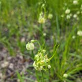 Review photo of East Fork Park Campground by Melanie and Doug G., April 6, 2024