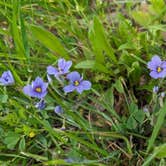 Review photo of East Fork Park Campground by Melanie and Doug G., April 6, 2024