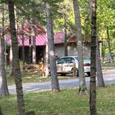 Review photo of COE Leech Lake Reservoir Leech Lake Recreation Area by Scott K., September 9, 2023