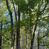 Review photo of COE Leech Lake Reservoir Leech Lake Recreation Area by Scott K., September 9, 2023