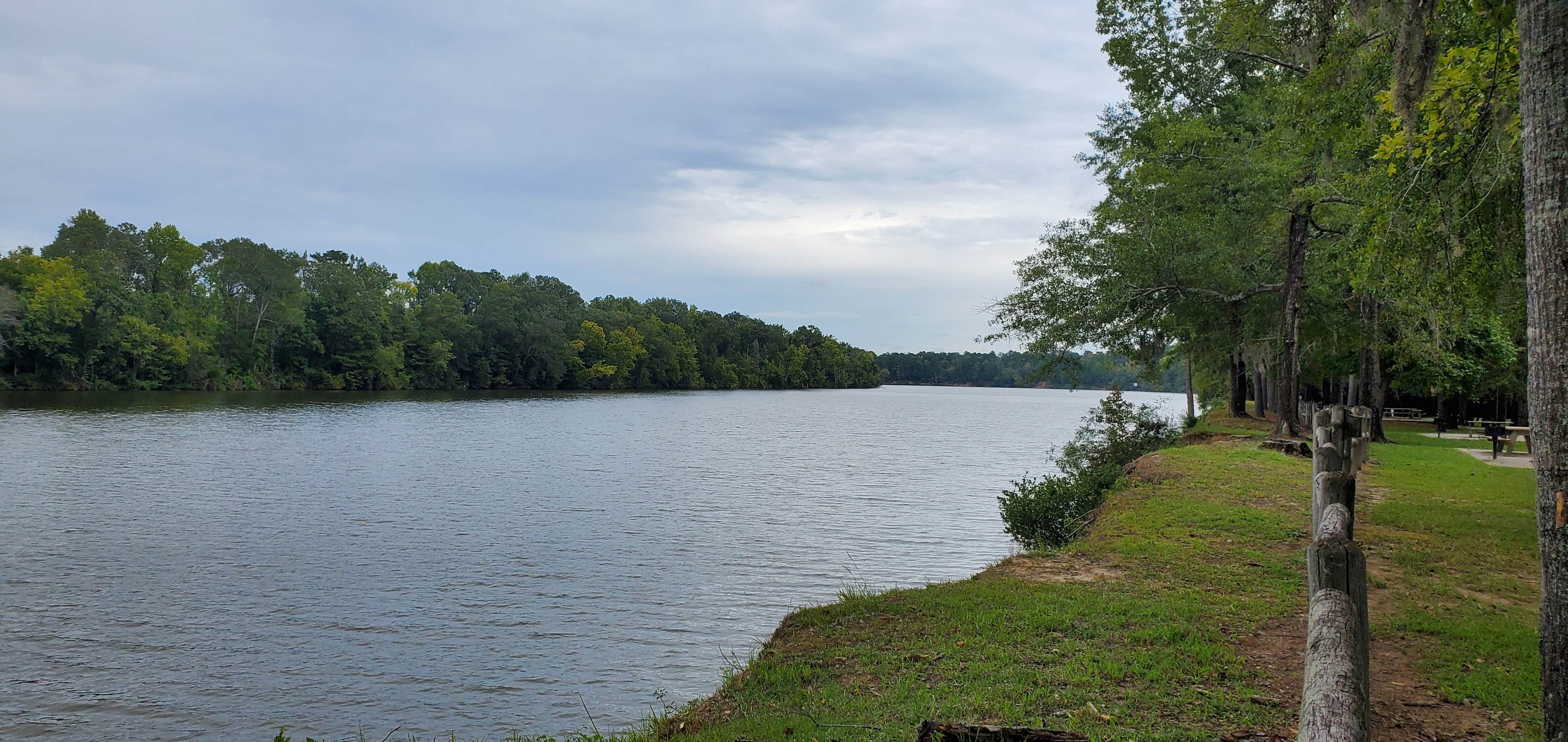 Camper submitted image from COE Service Campground - 4