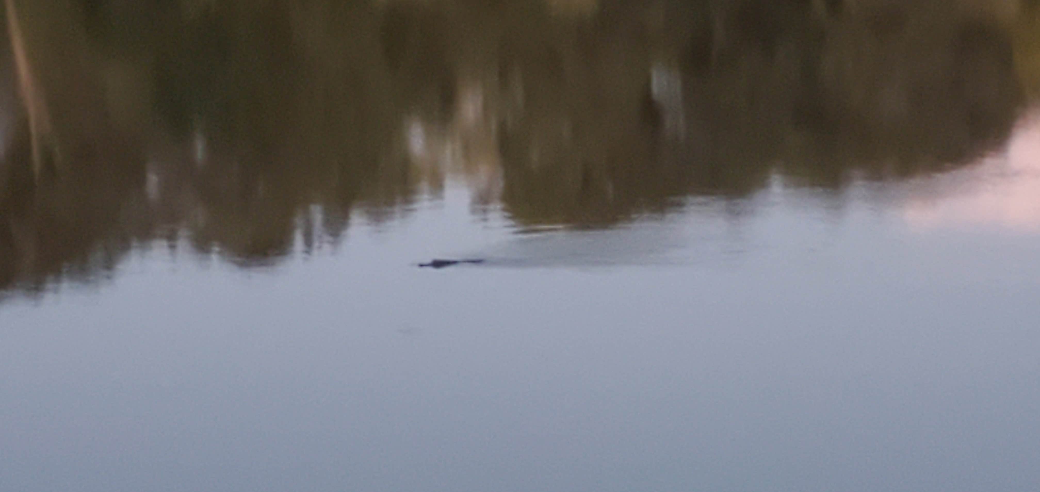 Camper-submitted photo at COE Service Campground near Tennessee-Tombigbee Waterway