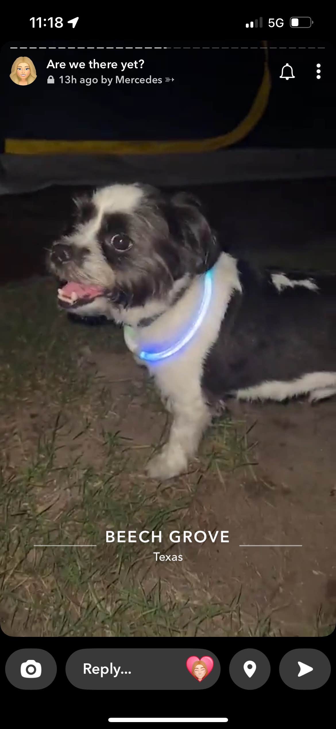 Maddy K.'s photo of camping with pets at COE Town Bluff Lake Sandy Creek Park near San Augustine, TX
