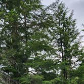 Review photo of Coeur d'Alene National Forest Big Hank Campground by Helen S., June 7, 2026