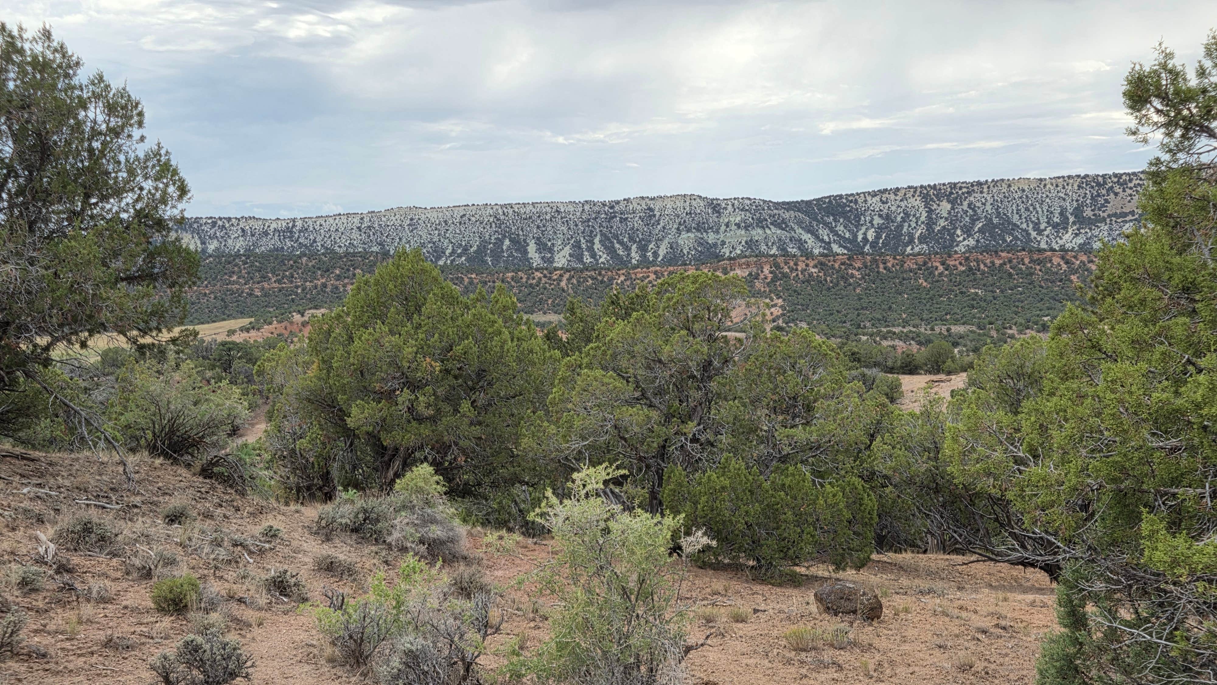 Camper-submitted photo at Coffee Pot Road Dispersed near Carbondale, CO