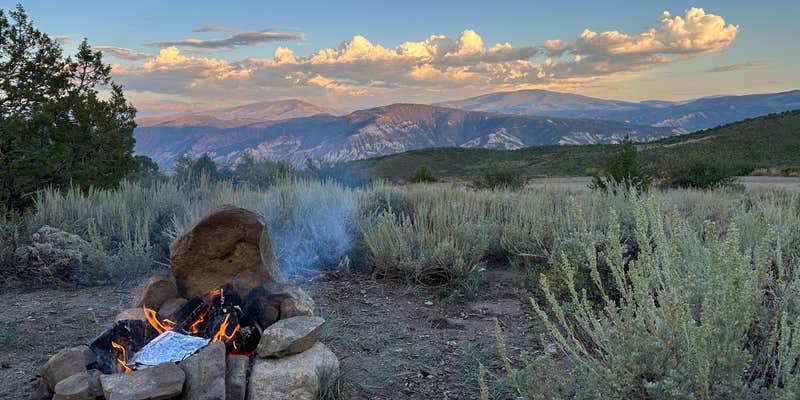 Camper submitted image from Coffee Pot Road Dispersed