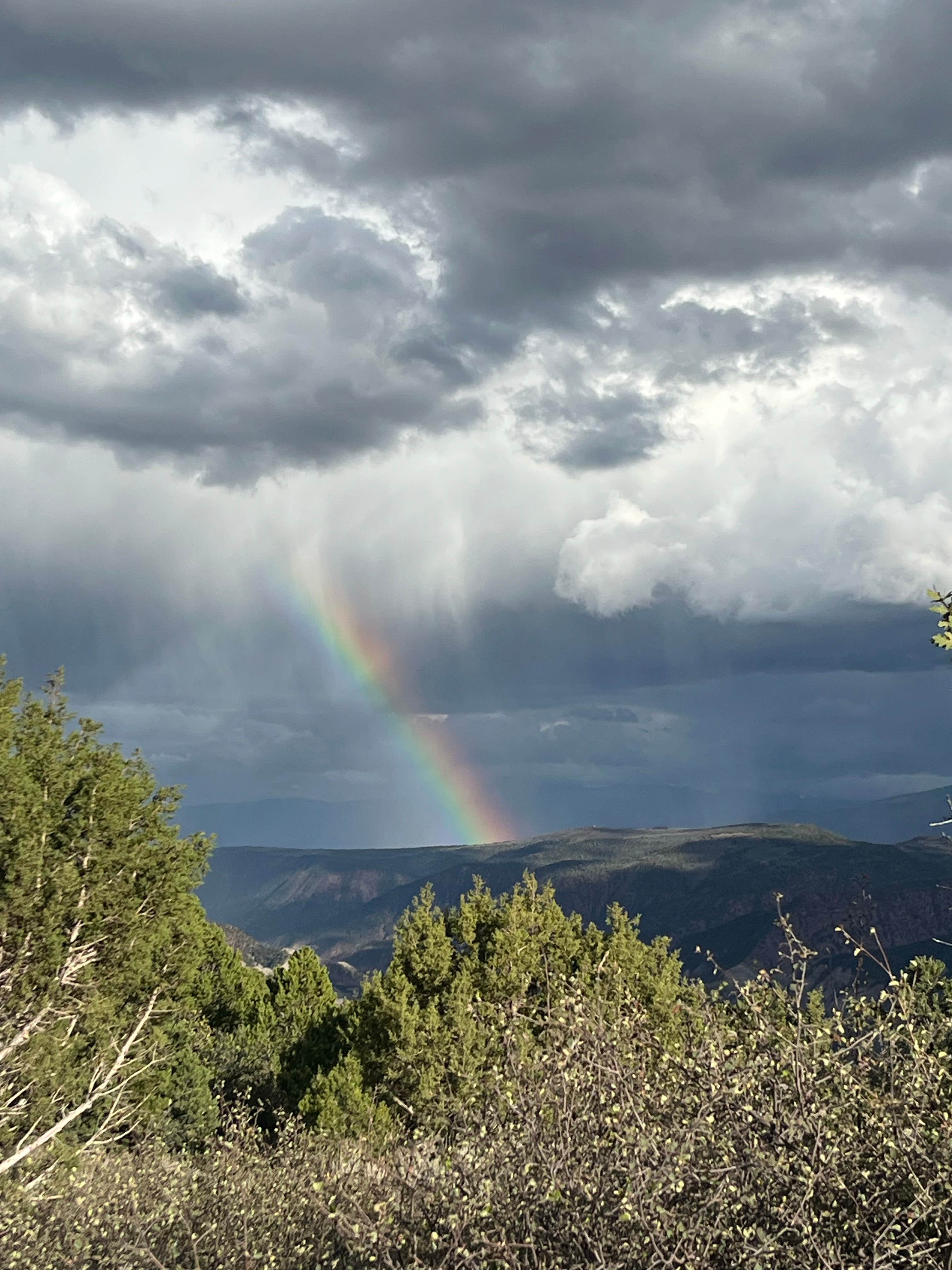 Camper-submitted photo at Coffee Pot Road Dispersed near New Castle, CO