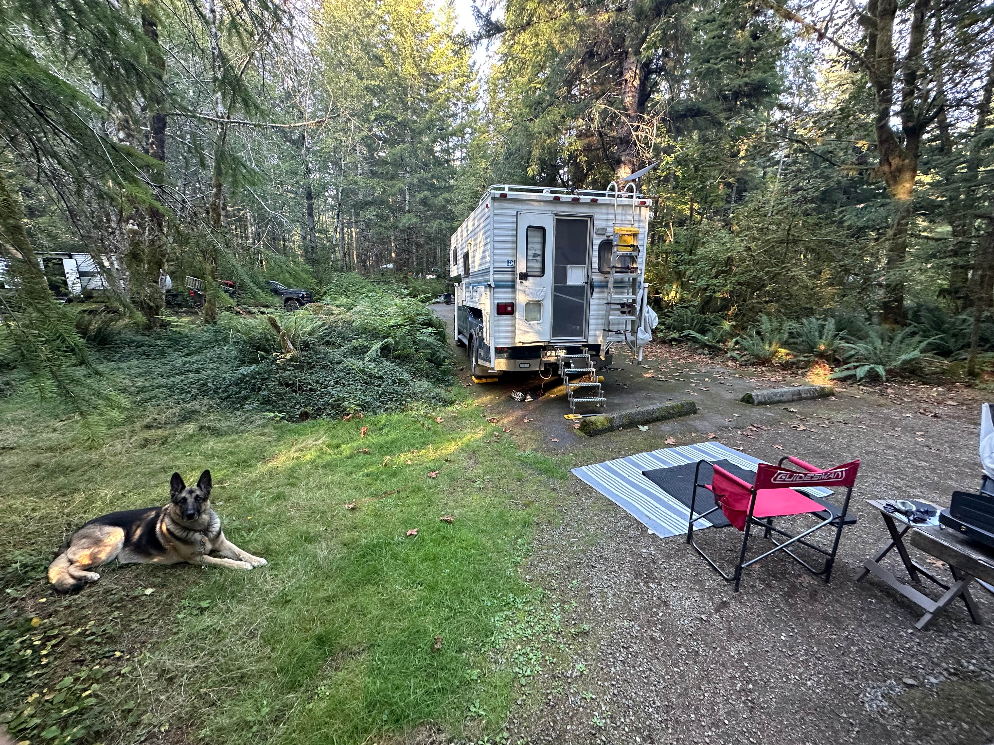 James B.'s photo of camping with pets at Coho Campground near Olympic National Forest