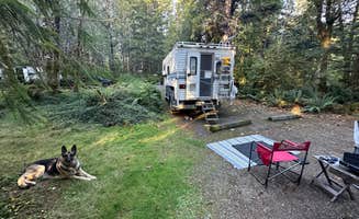 James B.'s photo of camping with pets at Coho Campground near Olympic National Forest