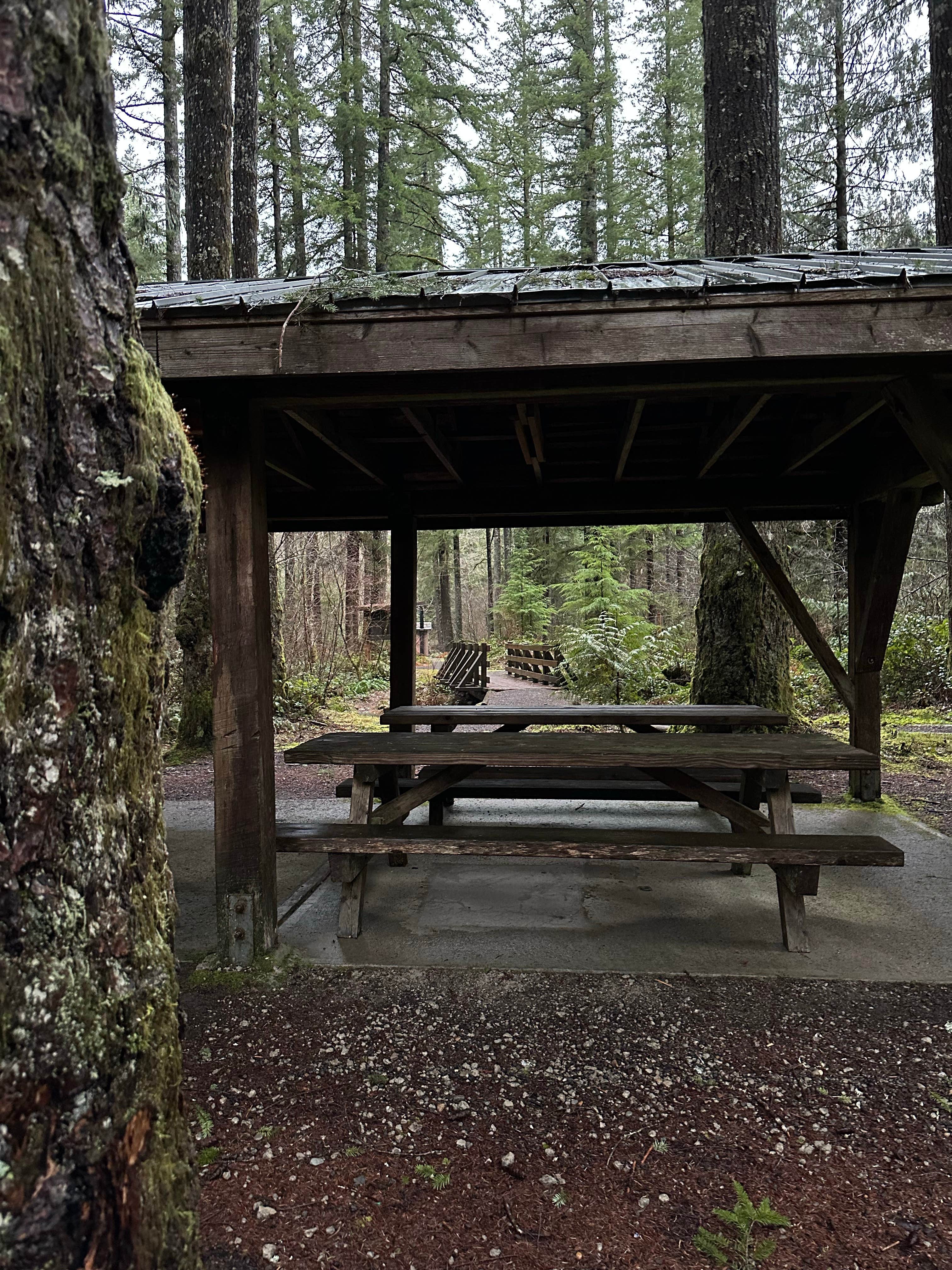 Camper-submitted photo at Cold Creek Campground near Hobart, WA