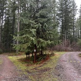 Review photo of Cold Creek Campground by Geoff T., January 28, 2024