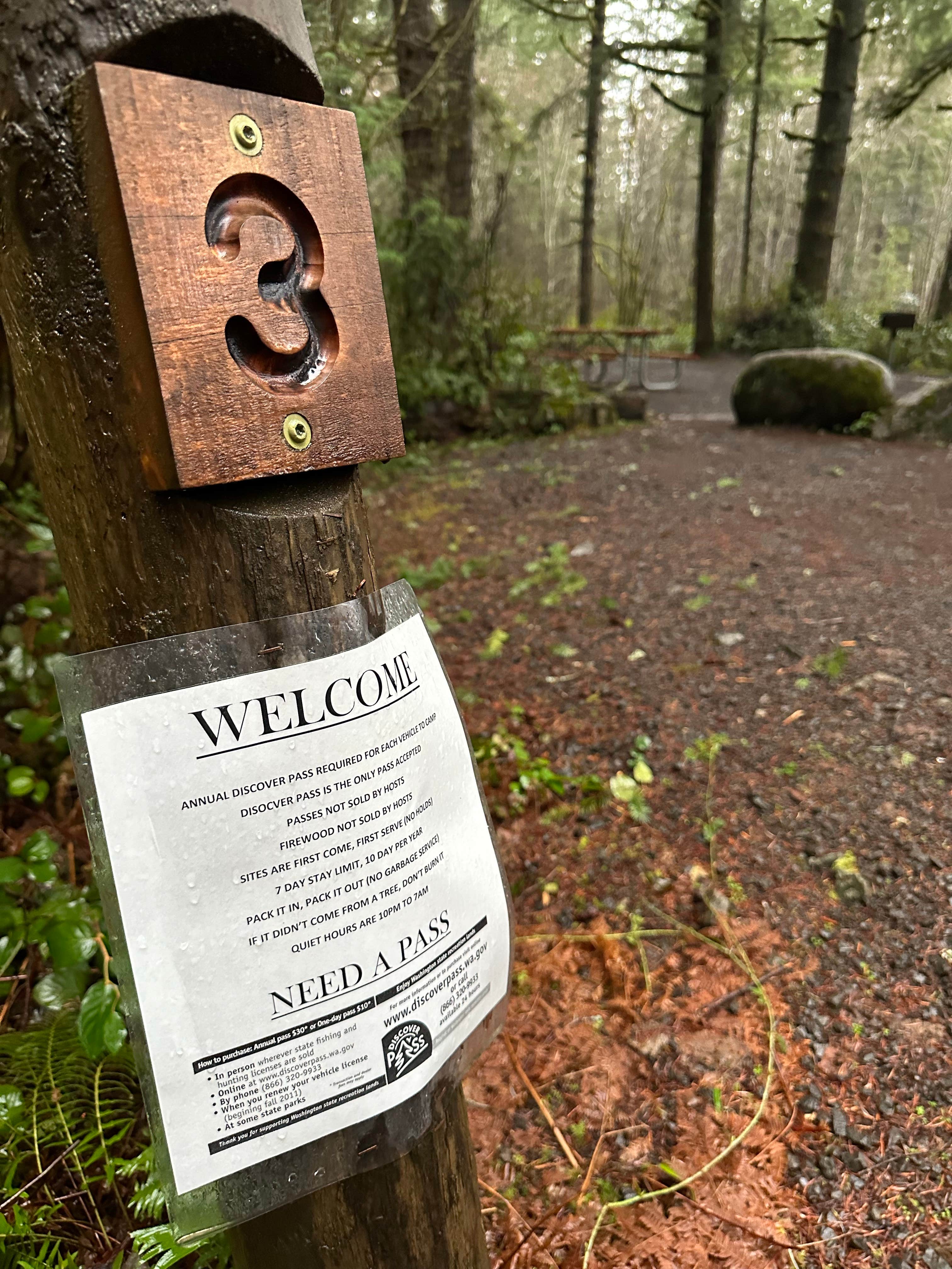 Camping near Goldmeyer Hot Springs: Cold Creek Campground, Snoqualmie Pass, Washington