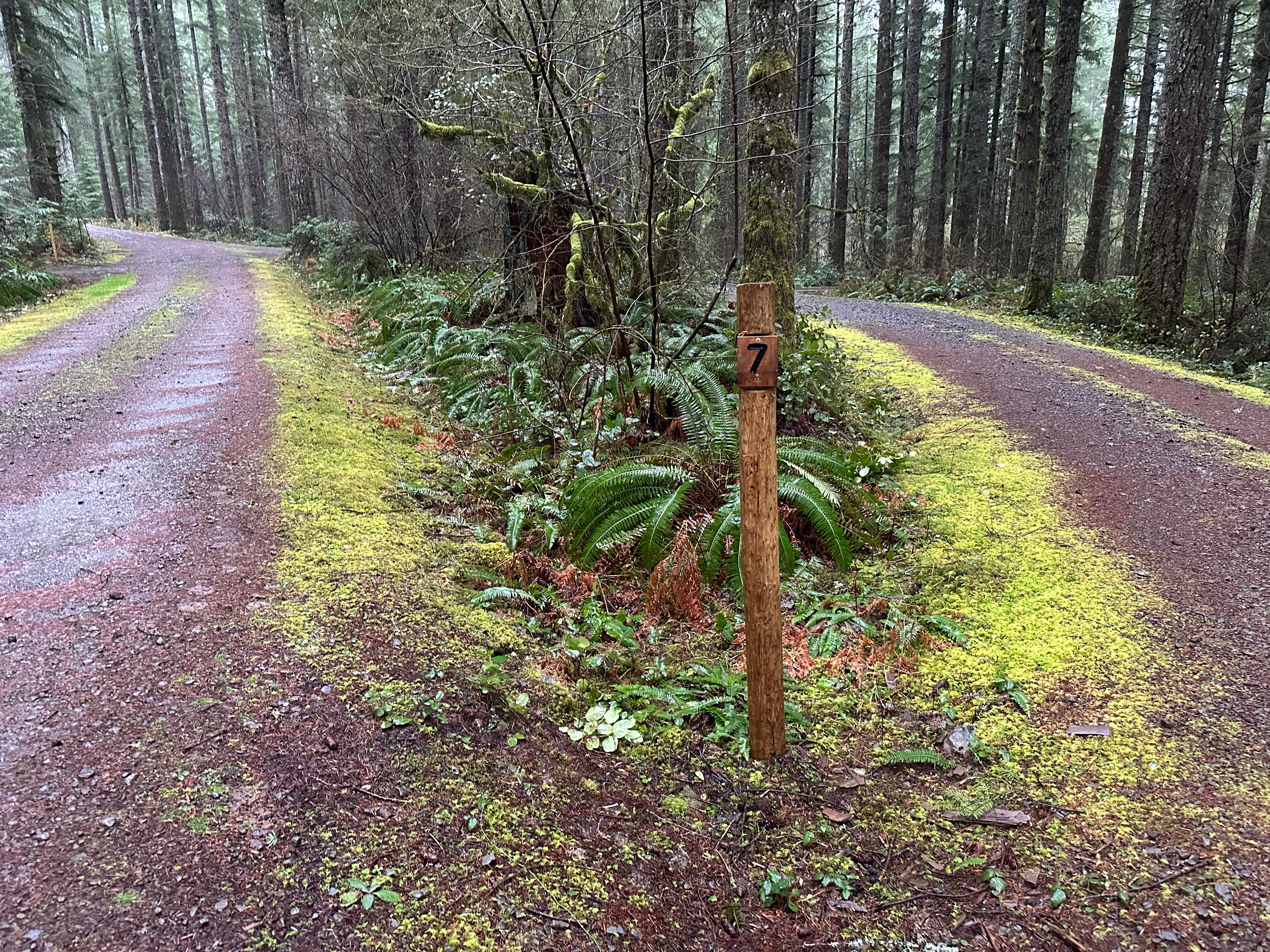 Camper-submitted photo at Cold Creek Campground near Hobart, WA