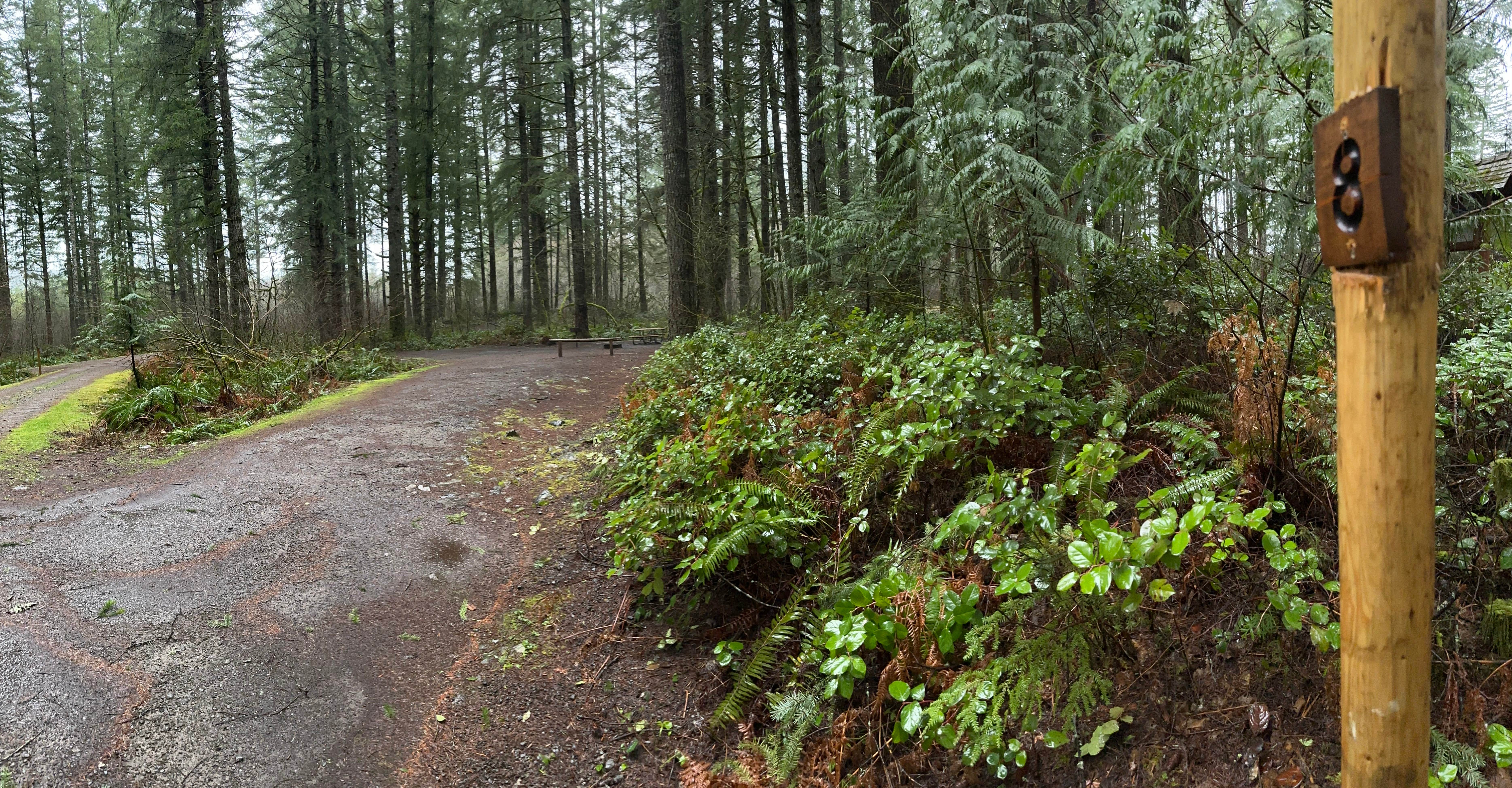 Camper-submitted photo at Cold Creek Campground near Hobart, WA