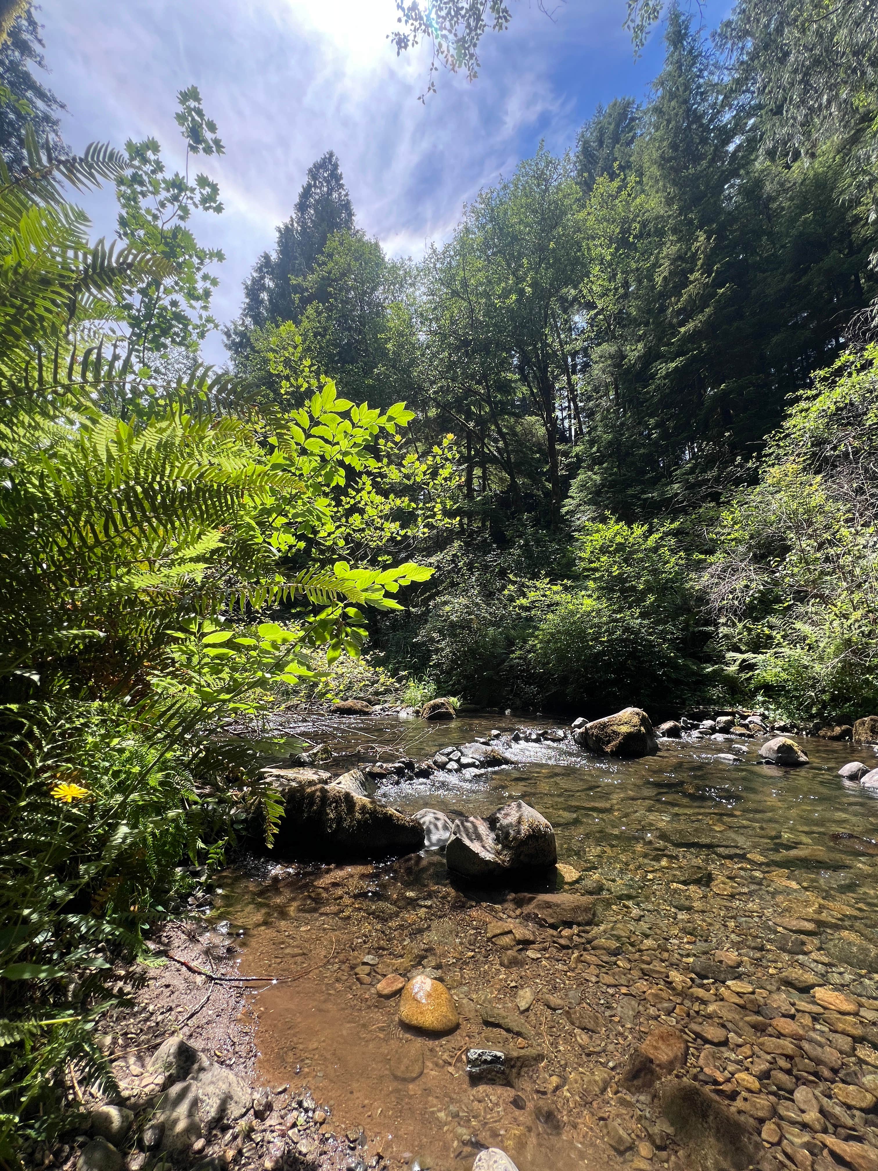 Camper-submitted photo at Cold Creek Campground near Yacolt, WA