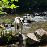 Review photo of Cold Creek Campground by Amy W., June 24, 2026