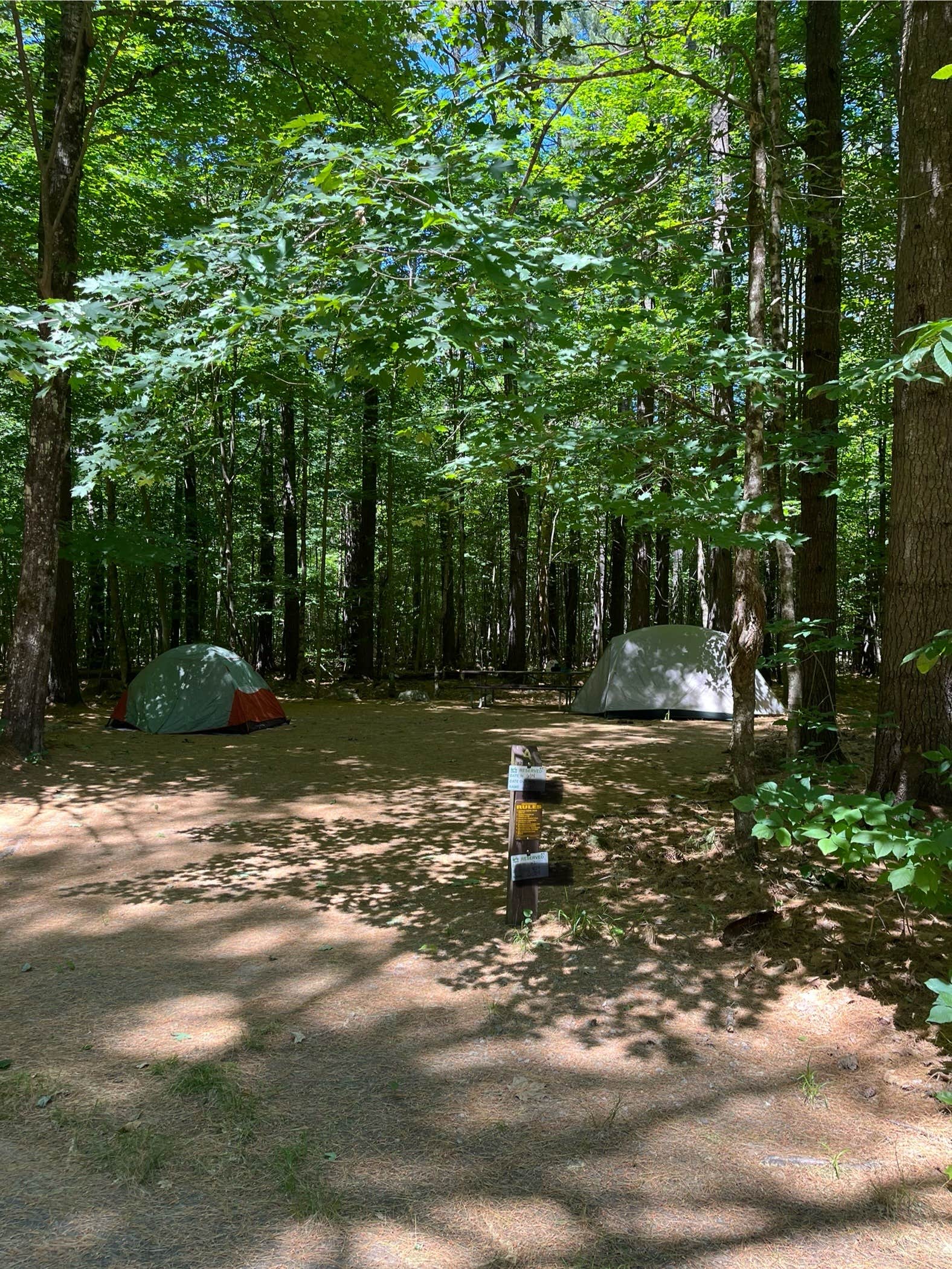Camper submitted image from Cold River - 2