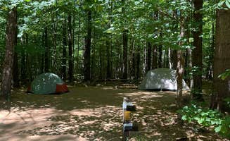 Amy R.'s photo at Cold River near Chatham, NH