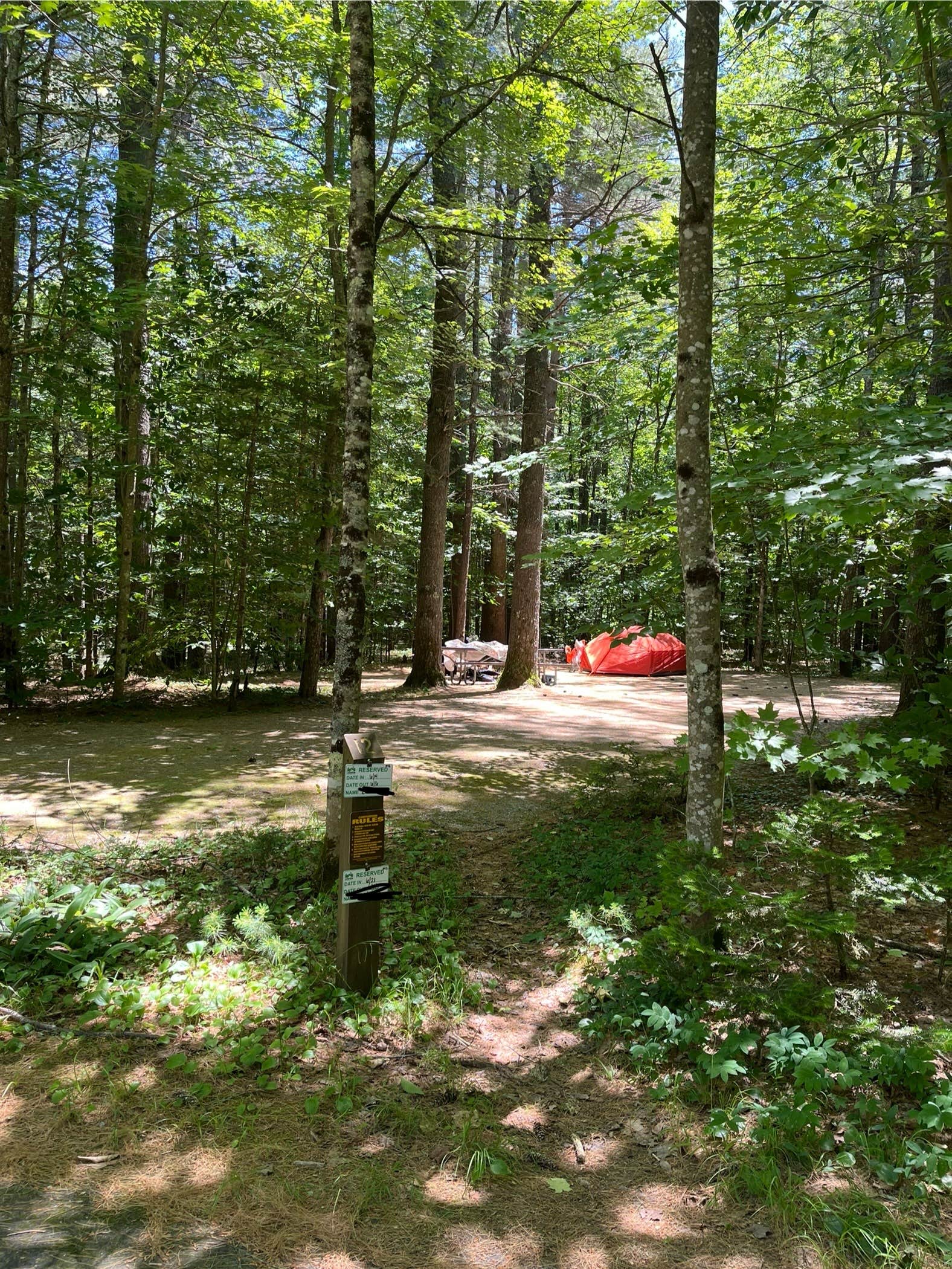 Camper submitted image from Cold River - 4