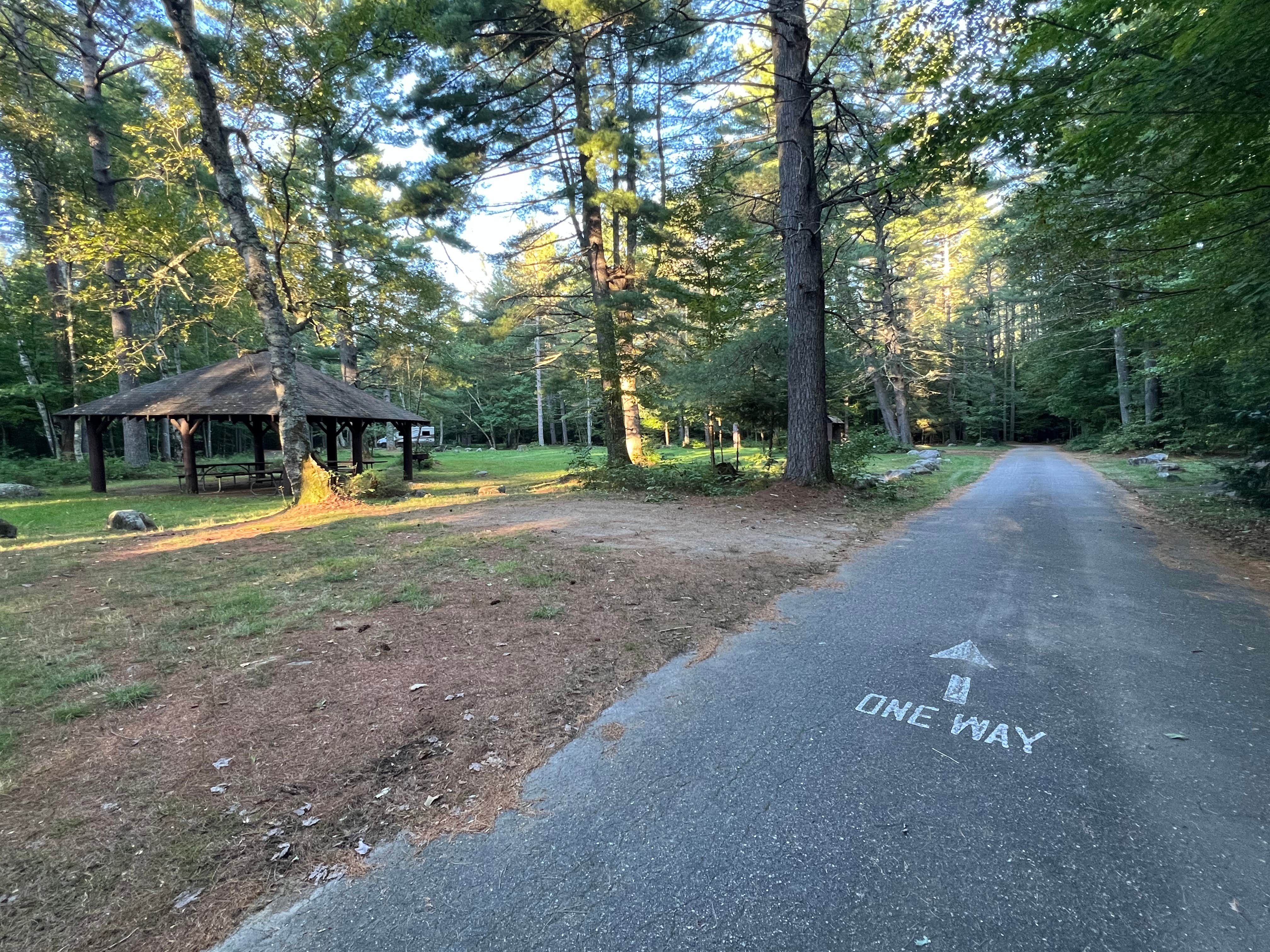 Meghan B.'s photo of camping with pets at Cold River near North Waterford, ME