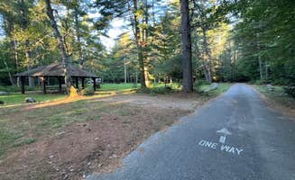 Meghan B.'s photo of camping with pets at Cold River near Fryeburg, ME