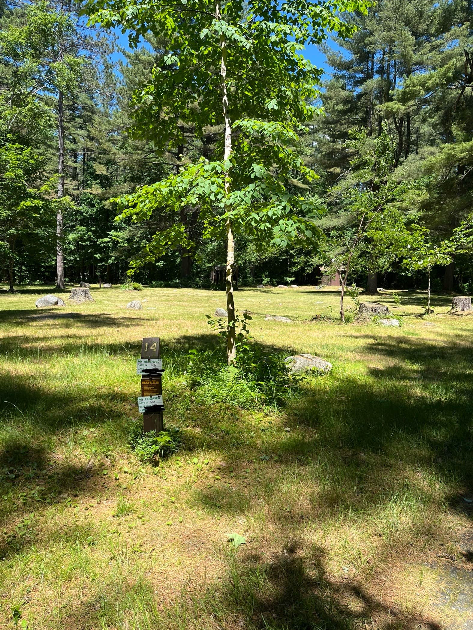 Camper-submitted photo at Cold River near West Bethel, ME